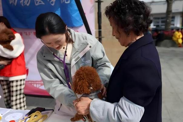 图为动物医学院志愿者协助老师开展宠物义诊